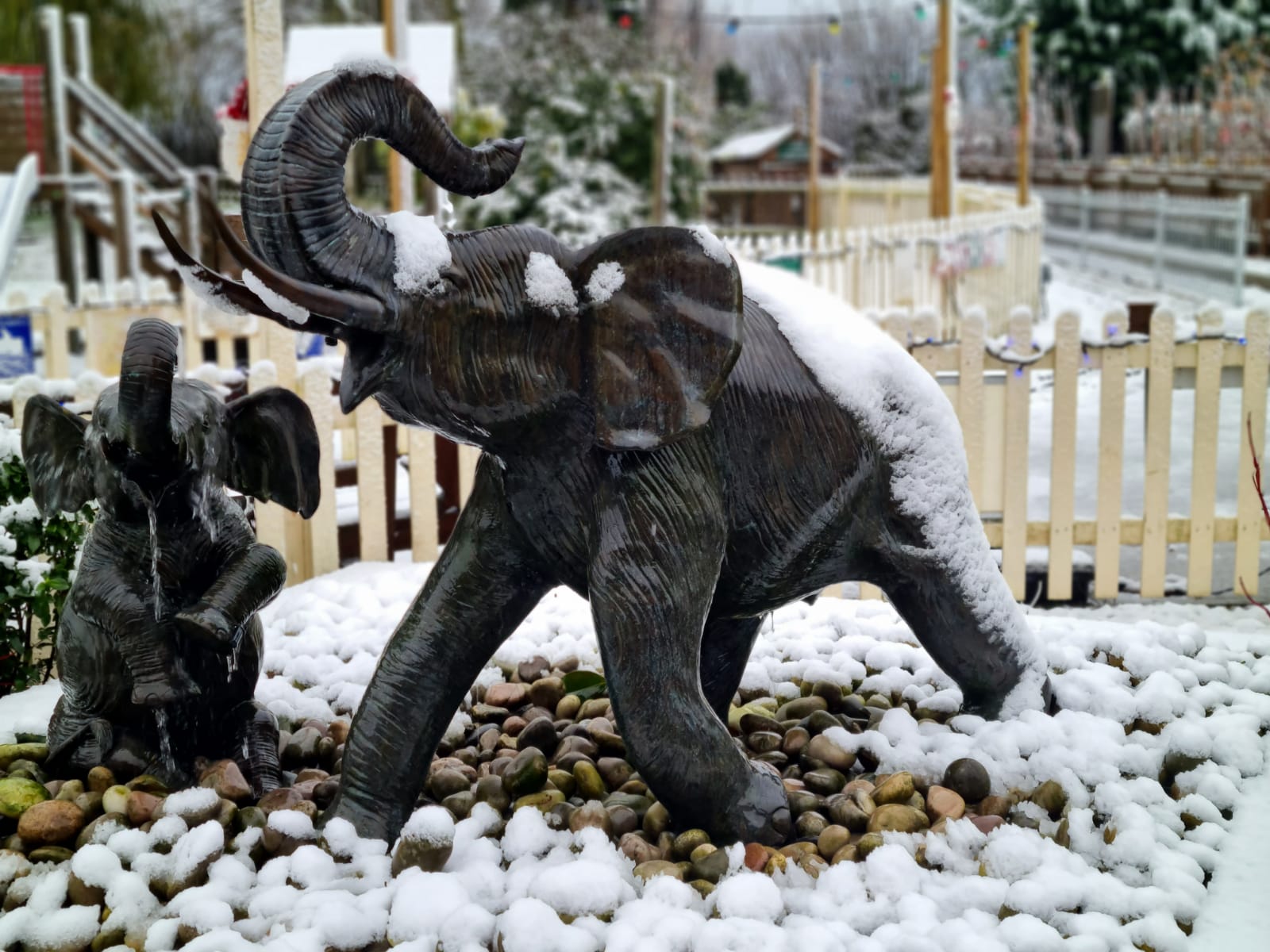 Willie smart christmas opening hours