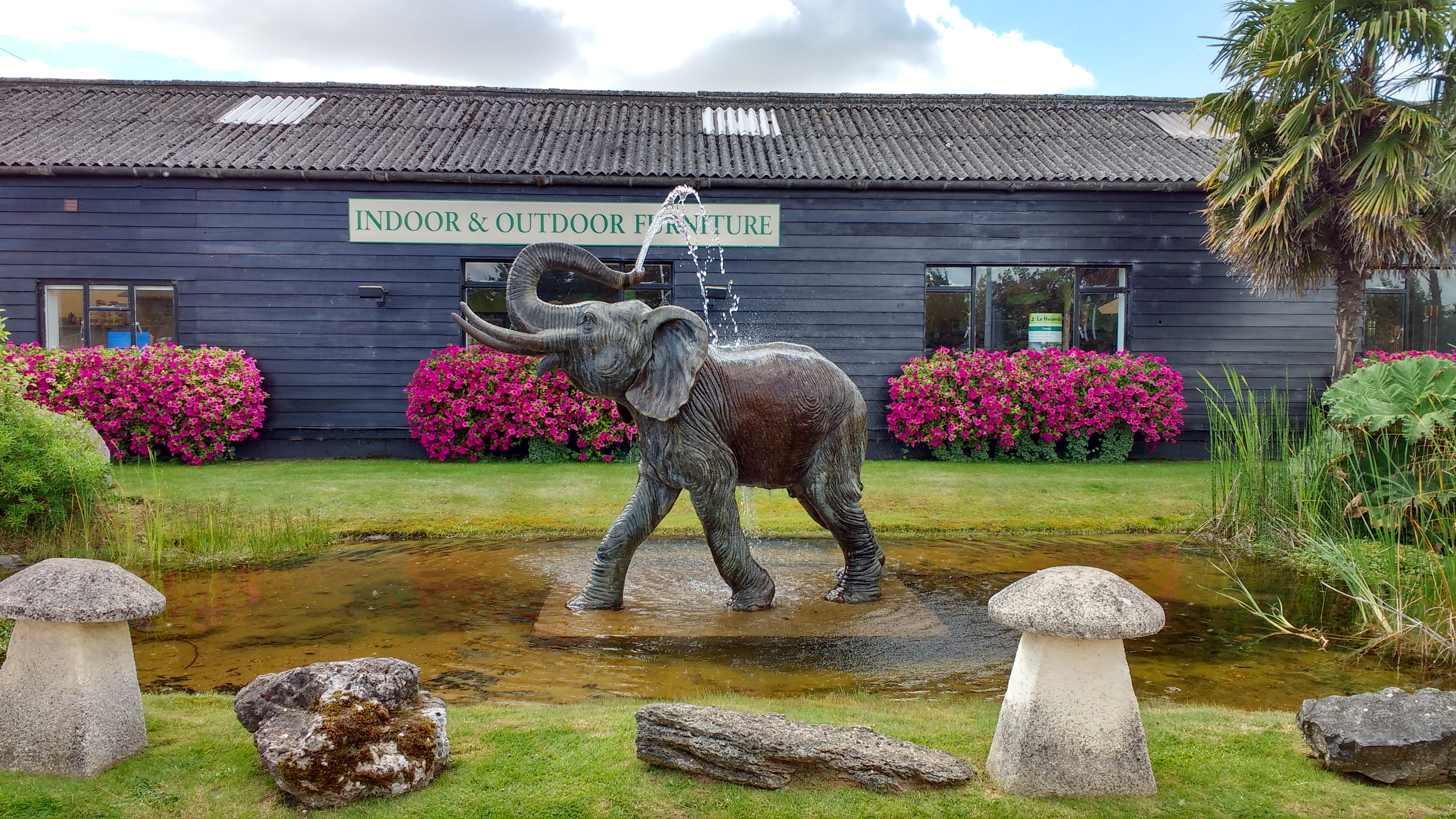The Poplar Elephant