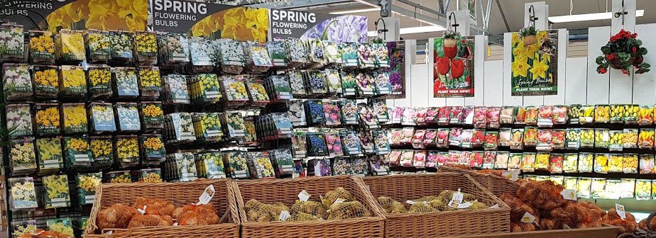 Spring Flowering Bulbs Available Now!