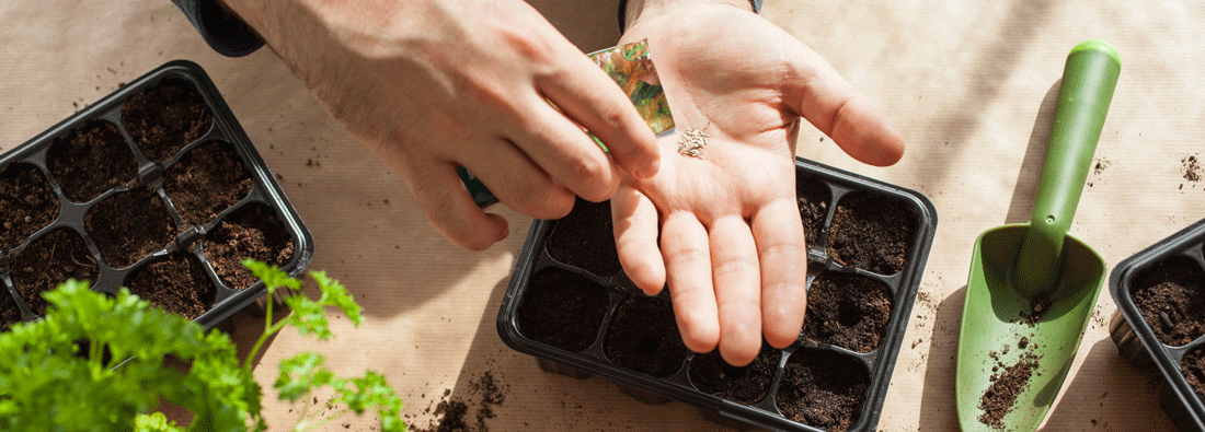 Gardening Club