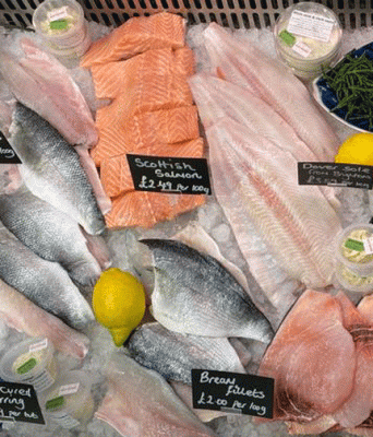 Fresh Fish From Sea To Deli To Plate 