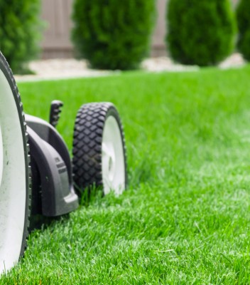 Summer Lawn Care