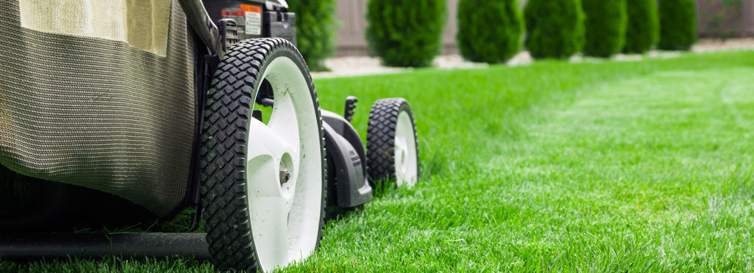Summer Lawn Care