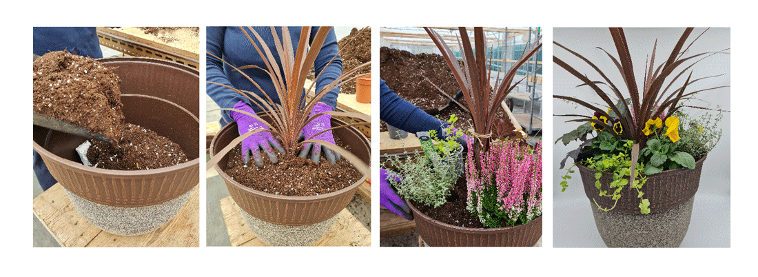 Planting An Autumn/Winter Container