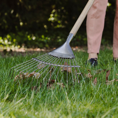 How to scarify a lawn