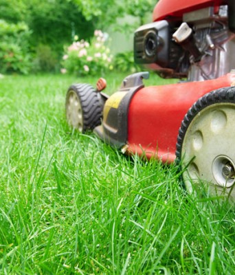 Spring Lawn Care