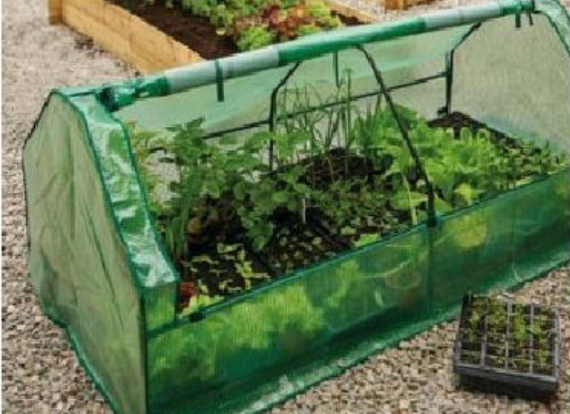 Grow houses 