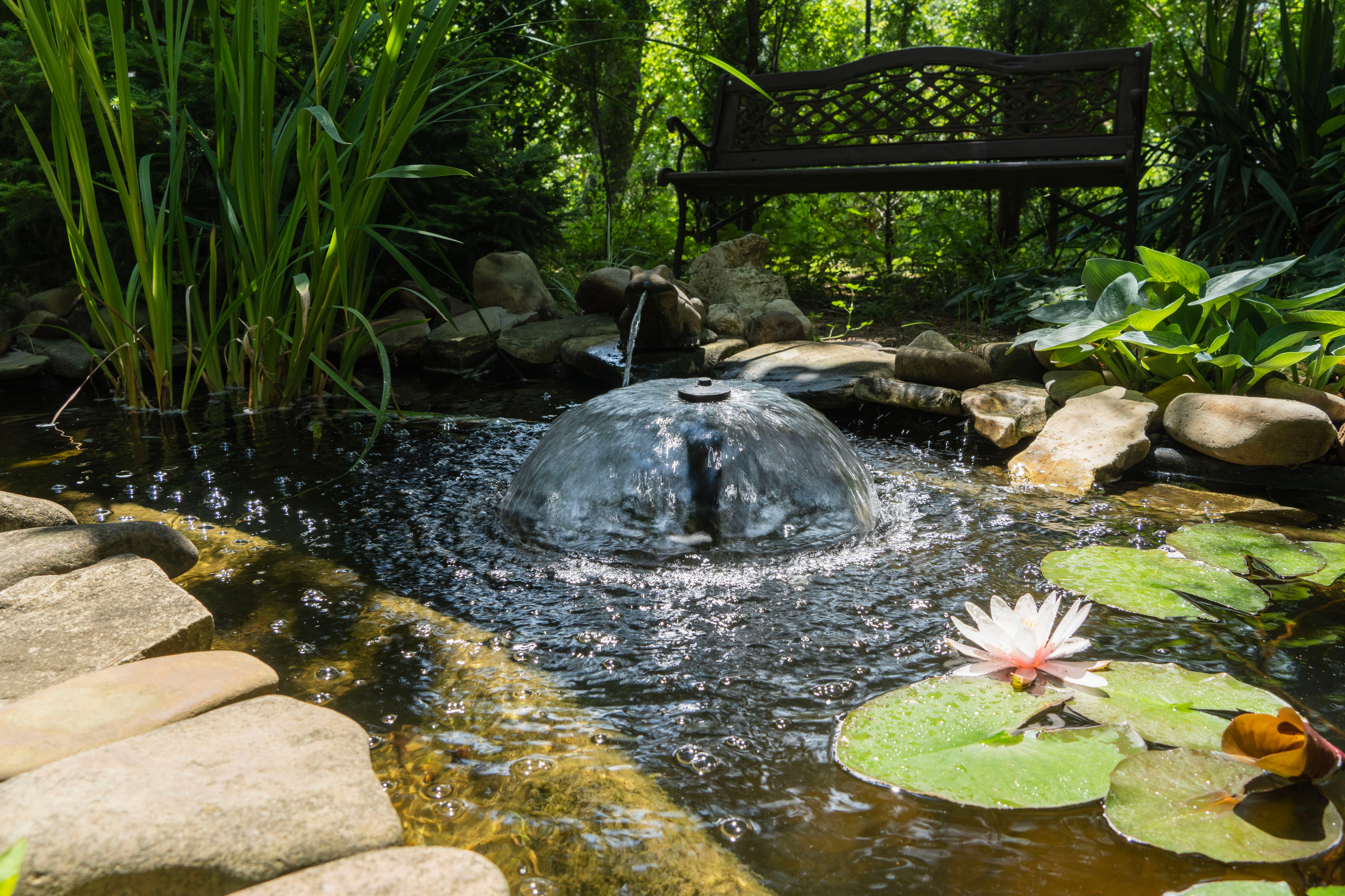 Pond pumps
