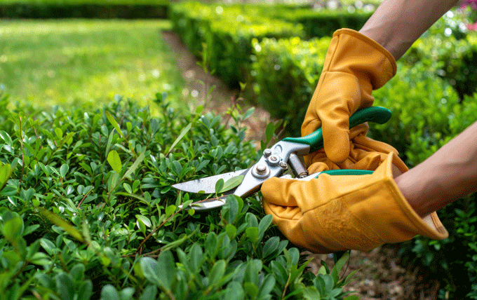 Helping you find those perfect and unusual gardening gifts