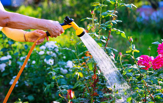 Extra TLC for your garden