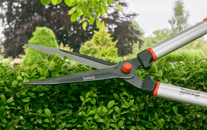 Helping your garden to thrive