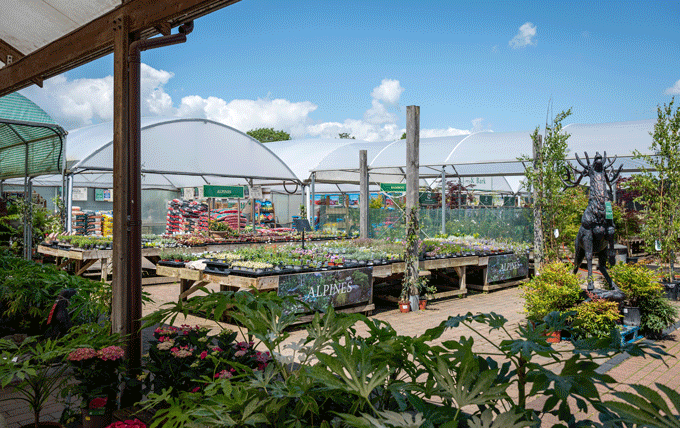 Get expert advice at our garden centre