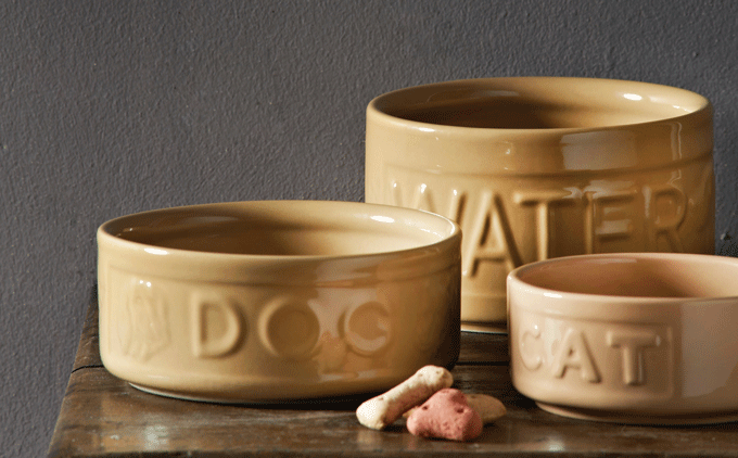 Find the perfect gift for your pet this Christmas