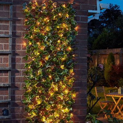String lights