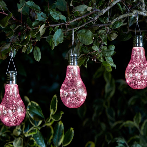 Garden Lighting