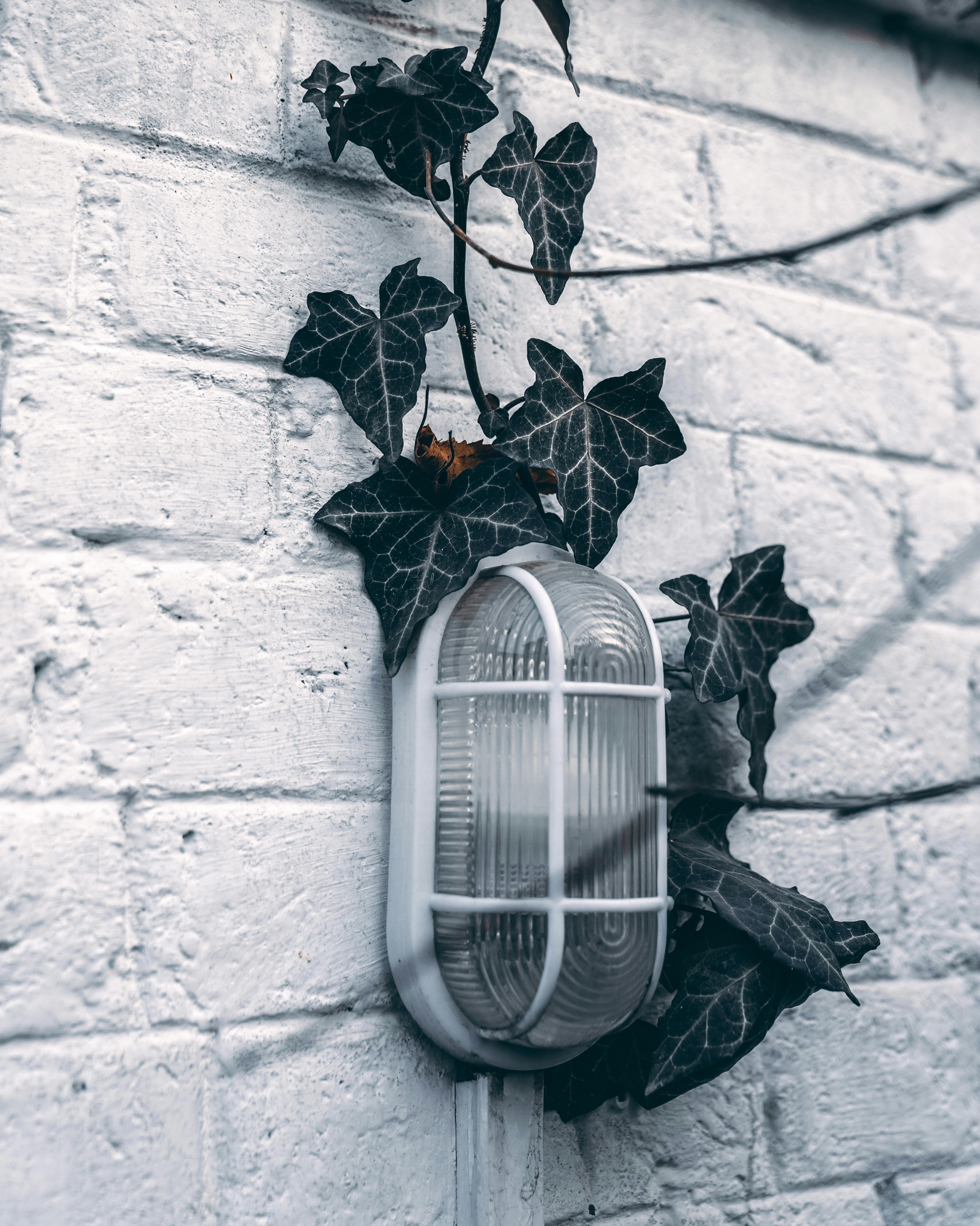 Security lights