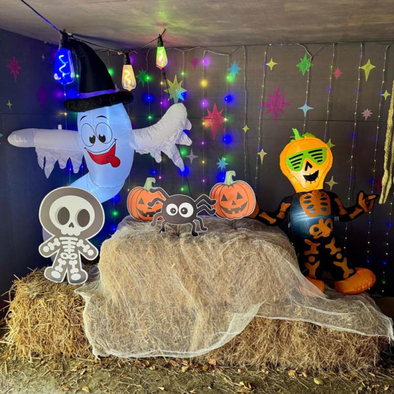 Halloween-2-WEB--600.jpg