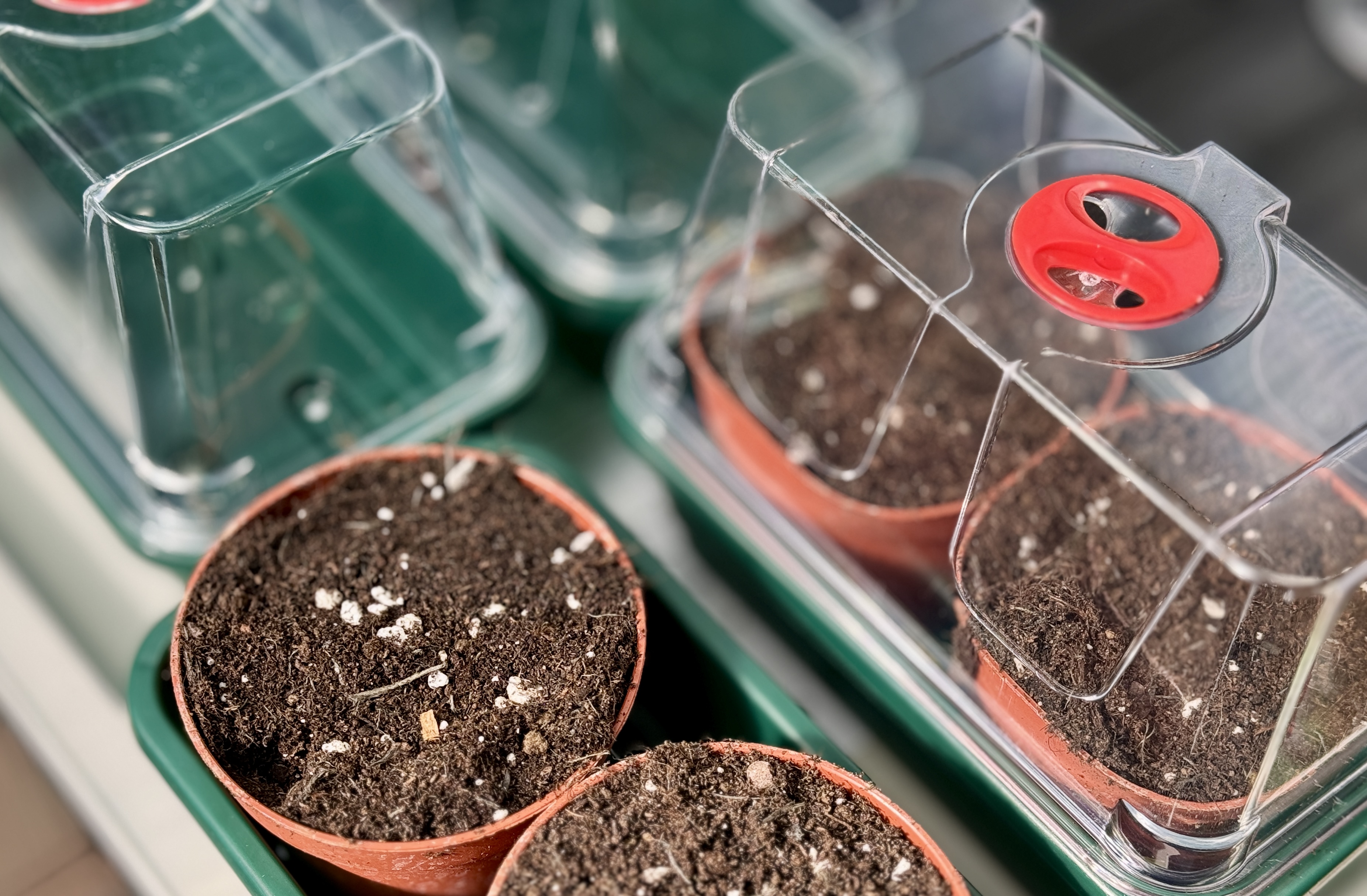 Seeds and propagators