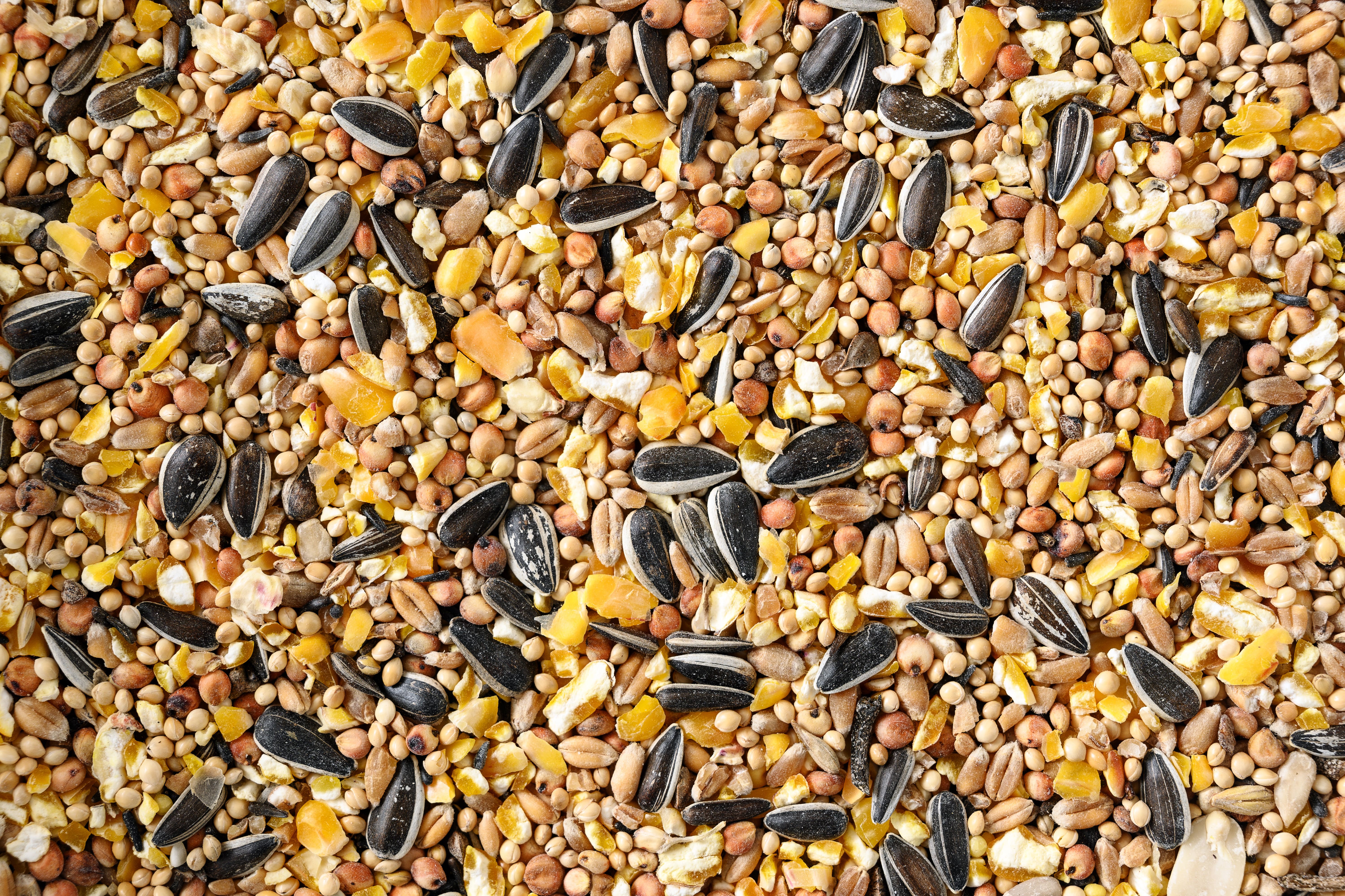 Bird and wildlife food 