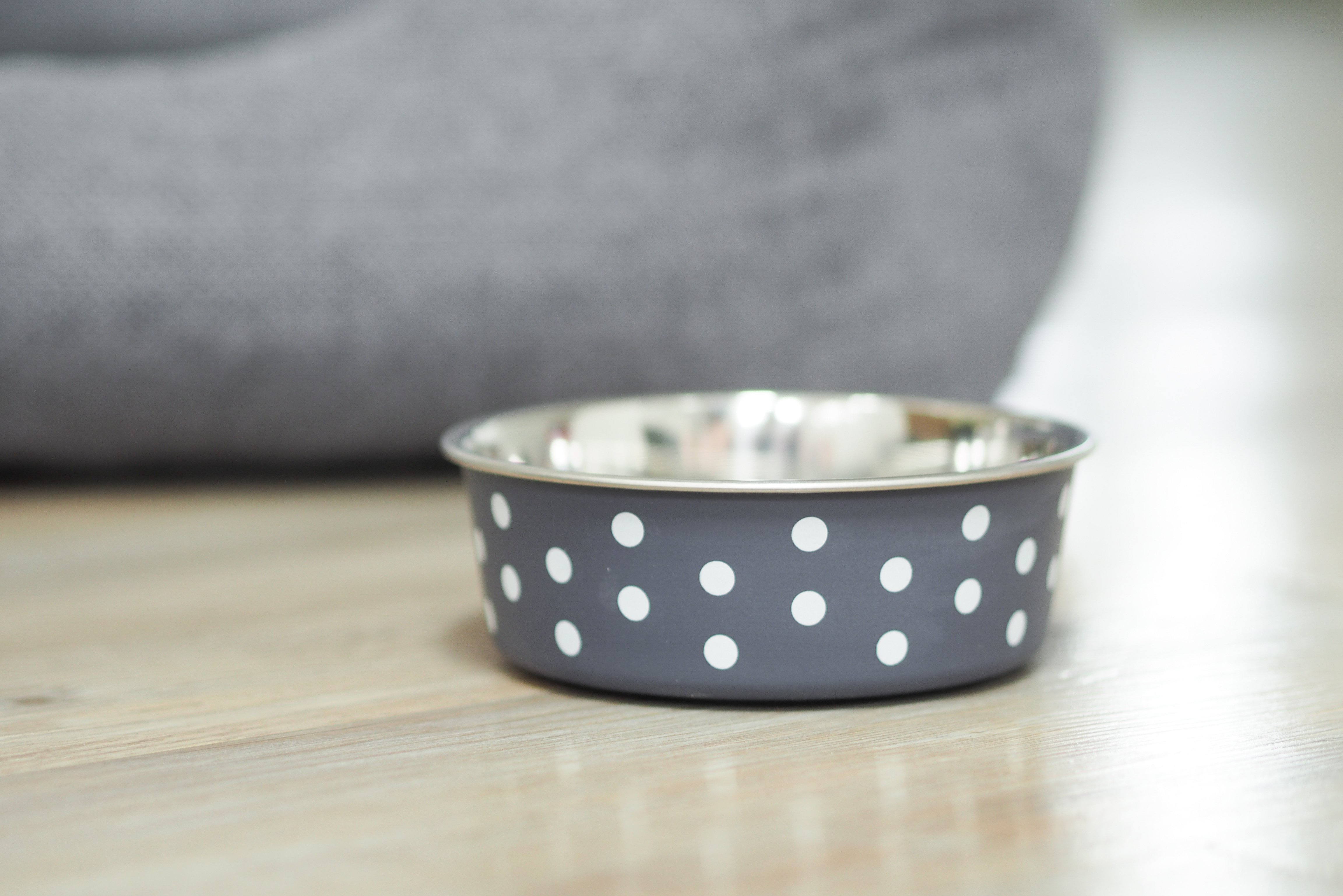 Dog and cat bowls 