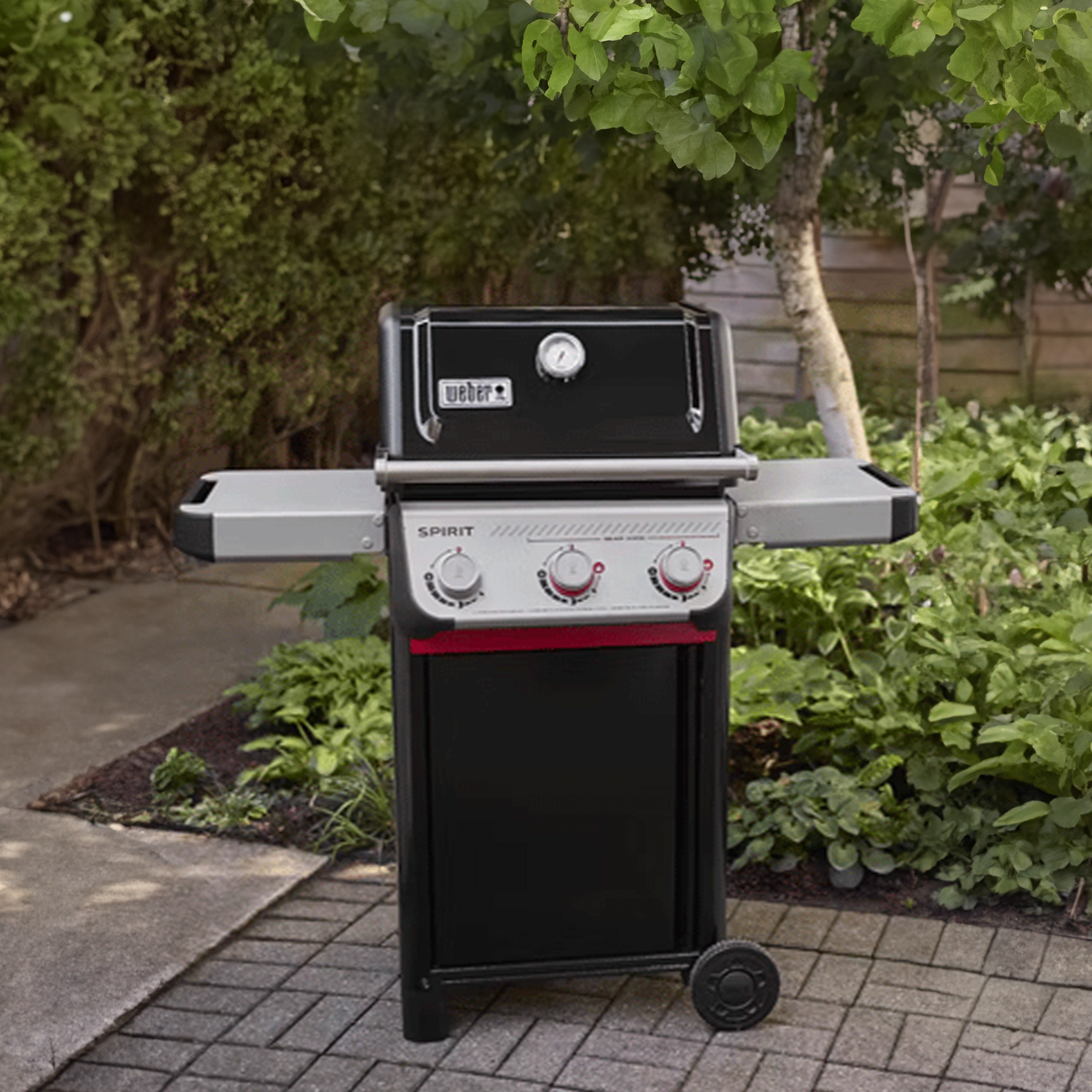 Find your perfect premium Weber® BBQ & accessories