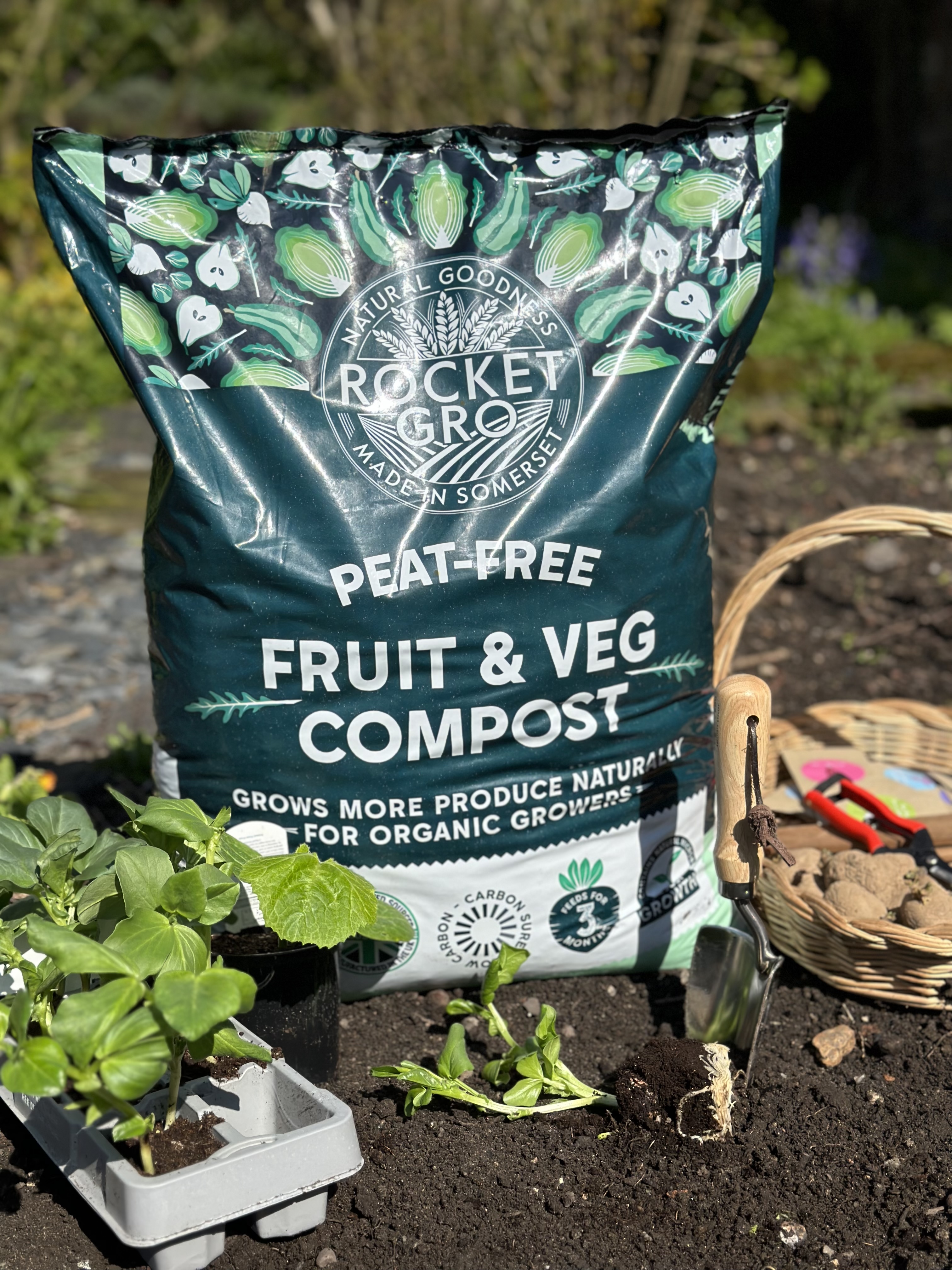 Grow Your Own Produce